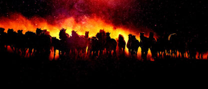 Horde de chevaux en feu
