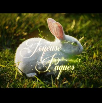 Joyeuse Pâques et Lapin Blanc 2 - Sélection d'images stock de qualité à prix budget.
